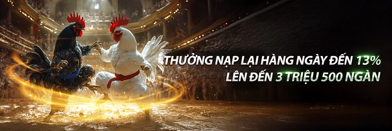Sân đấu đá gà sôi động tại Suwin đăng nhập